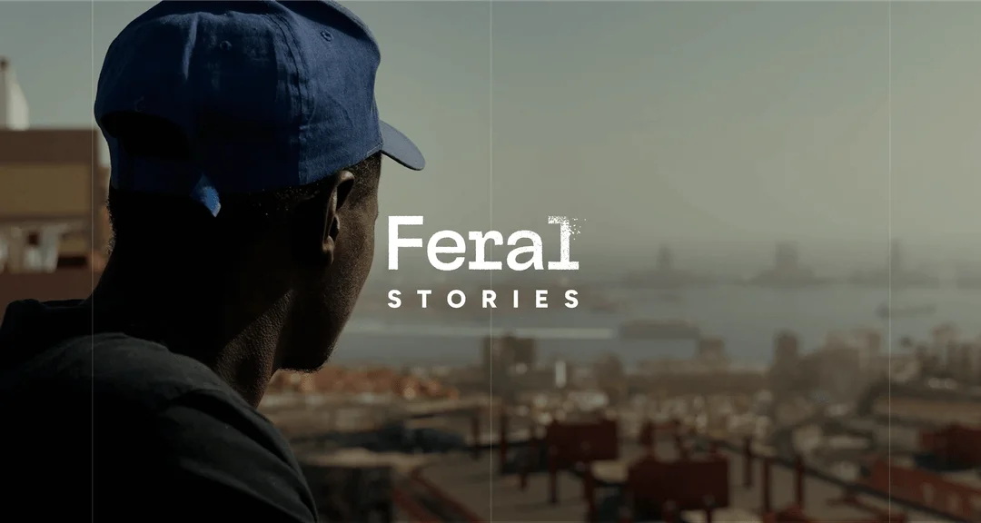 Feral Stories – Audiovisual Production Company